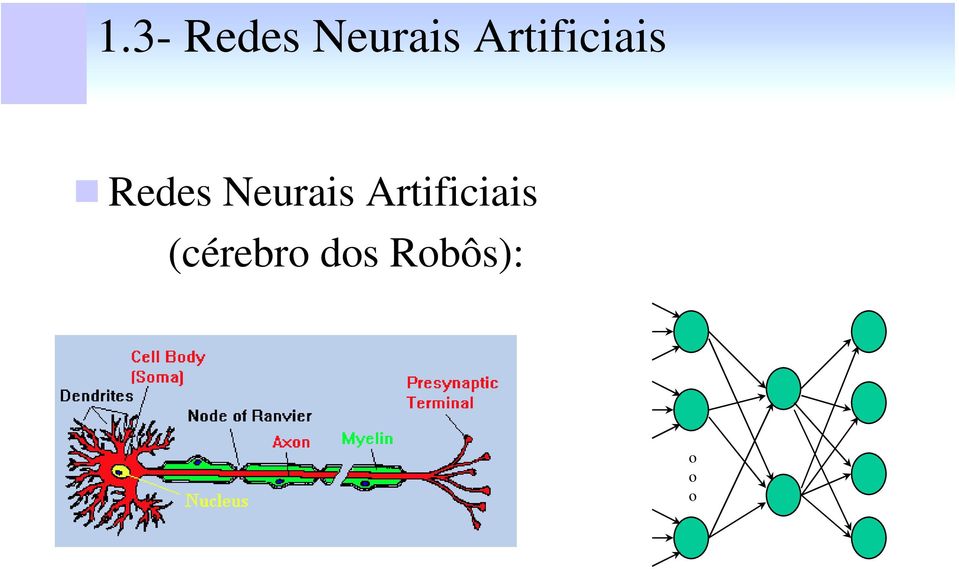 Neurais Artificiais