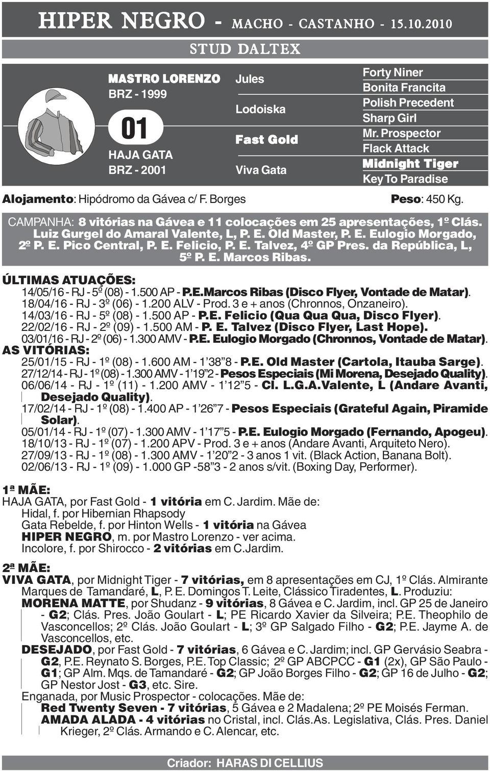 CAMPANHA: 8 vitórias na Gávea e 11 colocações em 25 apresentações, 1º Clás. Luiz Gurgel do Amaral Valente, L, P. E. Old Master, P. E. Eulogio Morgado, 2º P. E. Pico Central, P. E. Felicio, P. E. Talvez, 4º GP Pres.