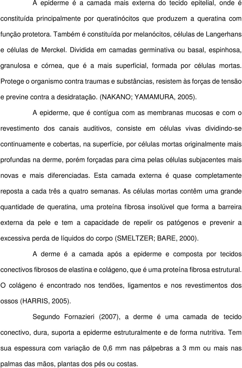 Dividida em camadas germinativa ou basal, espinhosa, granulosa e córnea, que é a mais superficial, formada por células mortas.