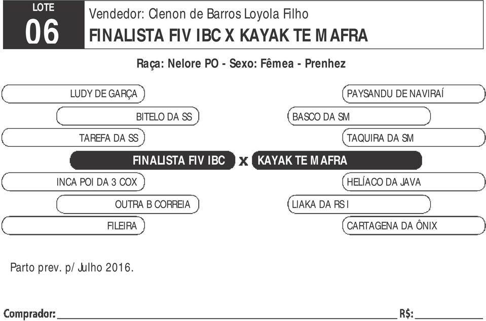 PAYSANDU DE NAVIRAÍ BASCO DA SM TAQUIRA DA SM KAYAK TE MAFRA