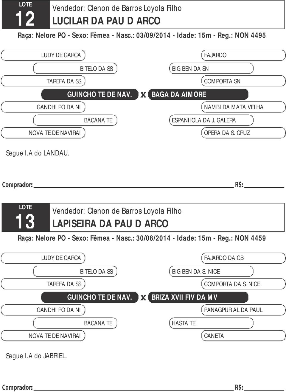 CRUZ Segue I.A do LANDAU. LOTE 13 LAPISEIRA DA PAU D ARCO - Nasc.: 30/08/2014 - Idade: 15m - Reg.