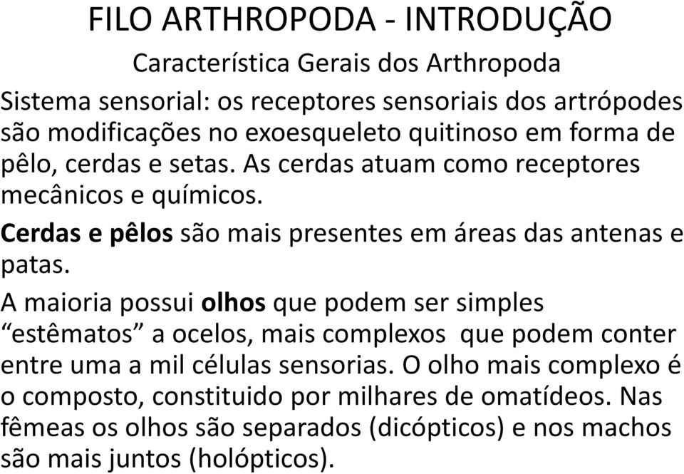 Cerdas e pêlos são mais presentes em áreas das antenas e patas.