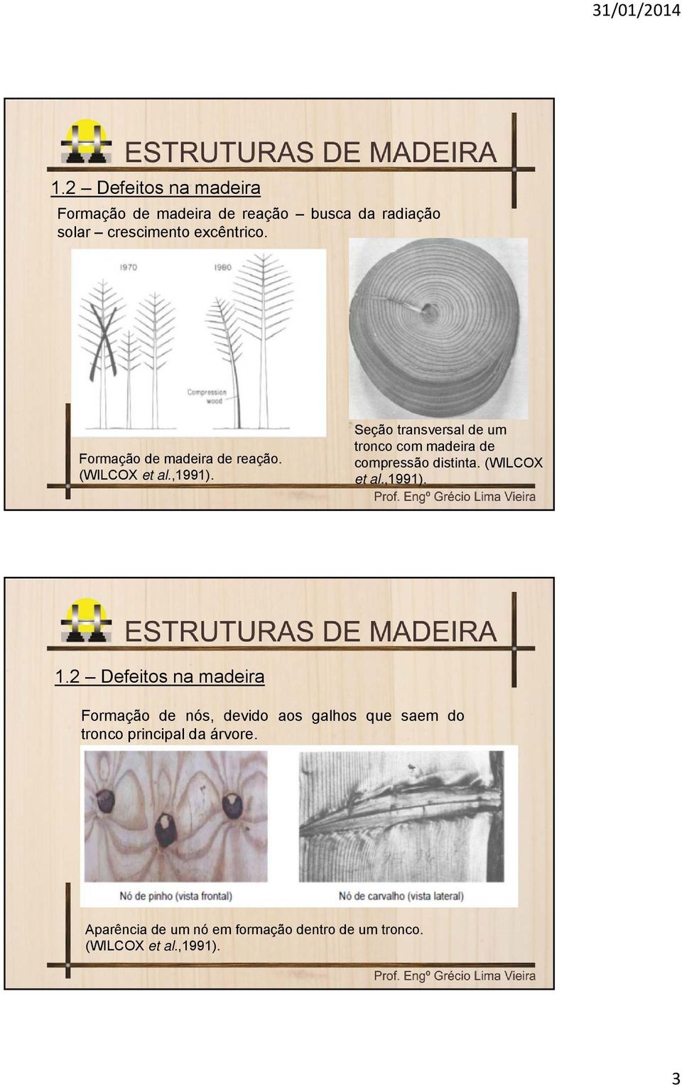 Seção transversal de um tronco com madeira de compressão distinta. (WILCOX et al.,1991). 1.