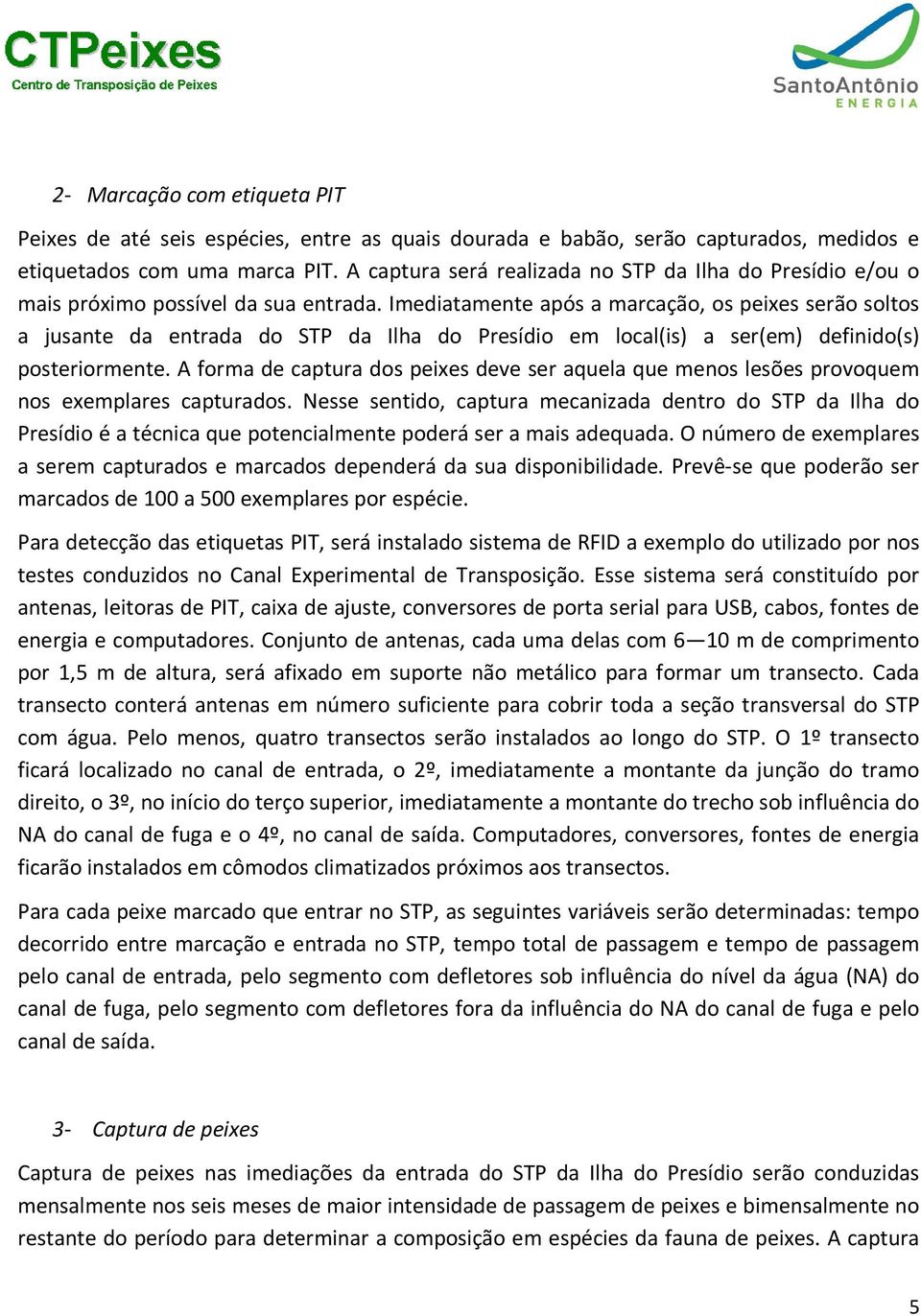 Imediatamente após a marcação, os peixes serão soltos a jusante da entrada do STP da Ilha do Presídio em local(is) a ser(em) definido(s) posteriormente.