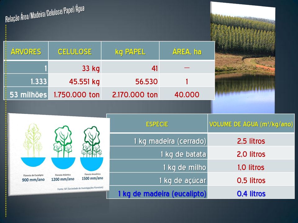 000 ESPÉCIE VOLUME DE ÁGUA (m³/kg/ano) 1 kg madeira (cerrado) 2,5 litros 1