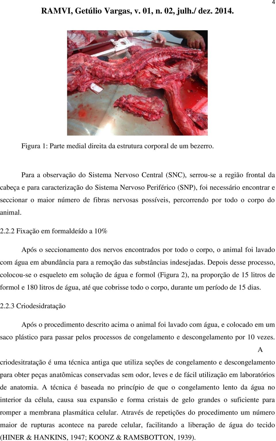 de fibras nervosas possíveis, percorrendo por todo o corpo do animal. 2.