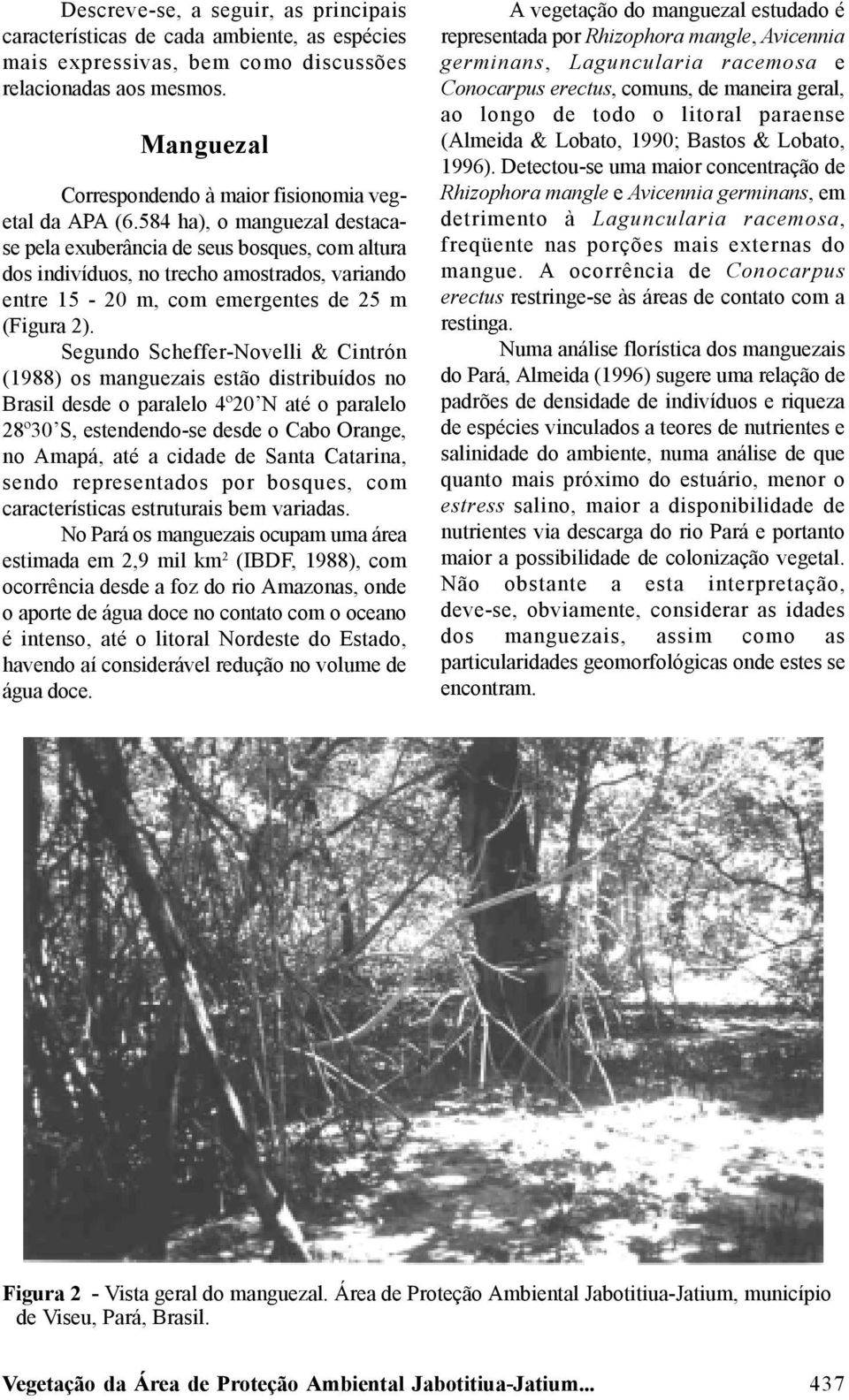 584 ha), o manguezal destacase pela exuberância de seus bosques, com altura dos indivíduos, no trecho amostrados, variando entre 15-20 m, com emergentes de 25 m (Figura 2).