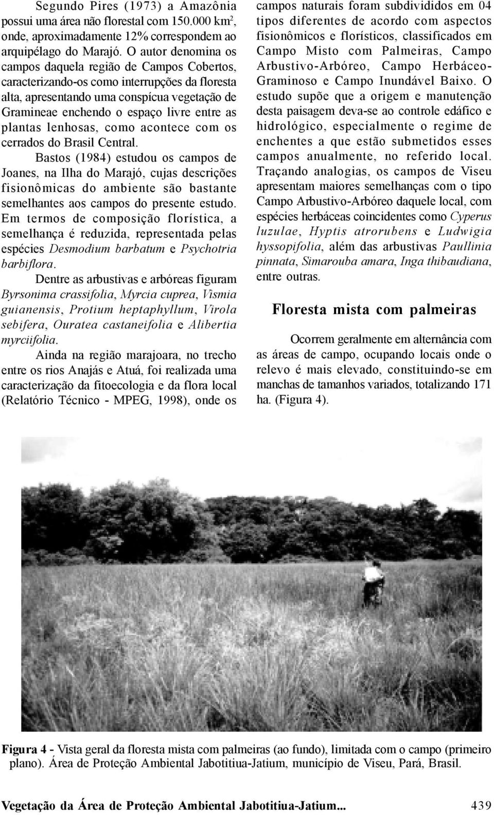 plantas lenhosas, como acontece com os cerrados do Brasil Central.