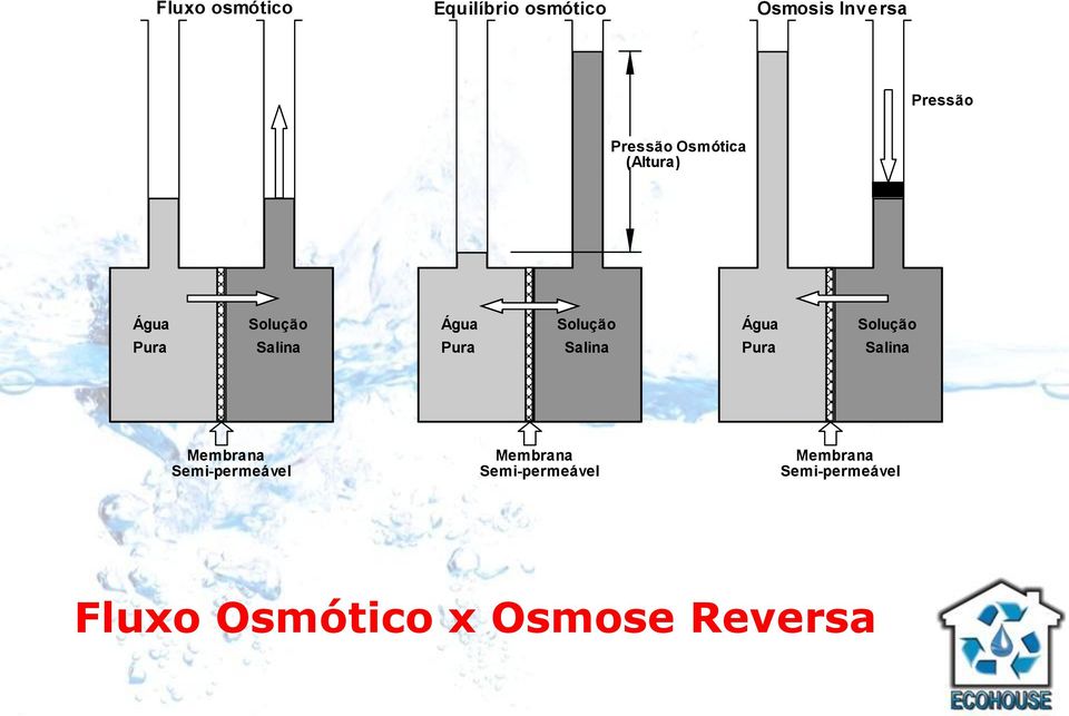 Pura Salina Pura Salina Pura Salina Membrana Semi-permeável