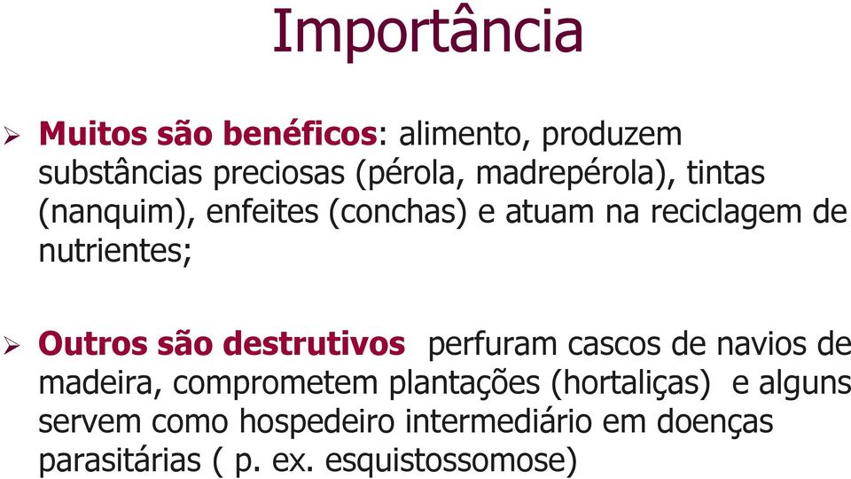 Outros são destrutivos: perfuram cascos de navios de madeira, comprometem plantações