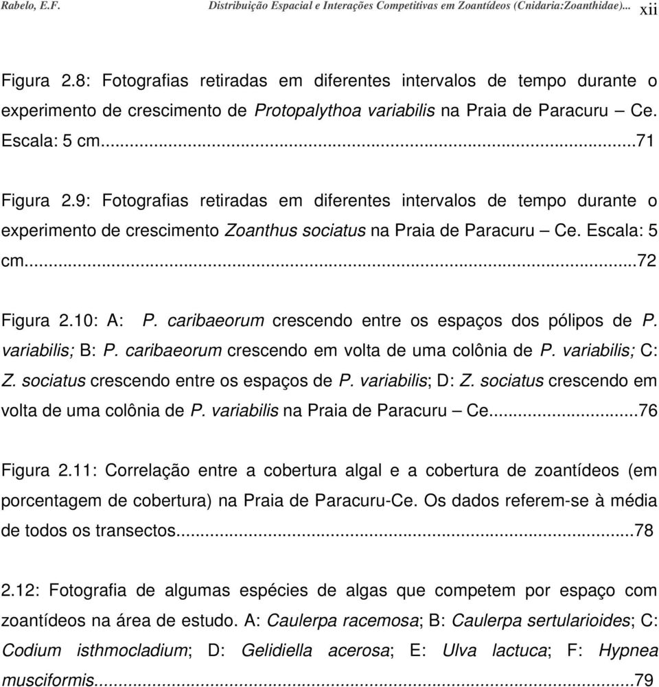 9: Fotografias retiradas em diferentes intervalos de tempo durante o experimento de crescimento Zoanthus sociatus na Praia de Paracuru Ce. Escala: 5 cm...72 Figura 2.10: A: P.