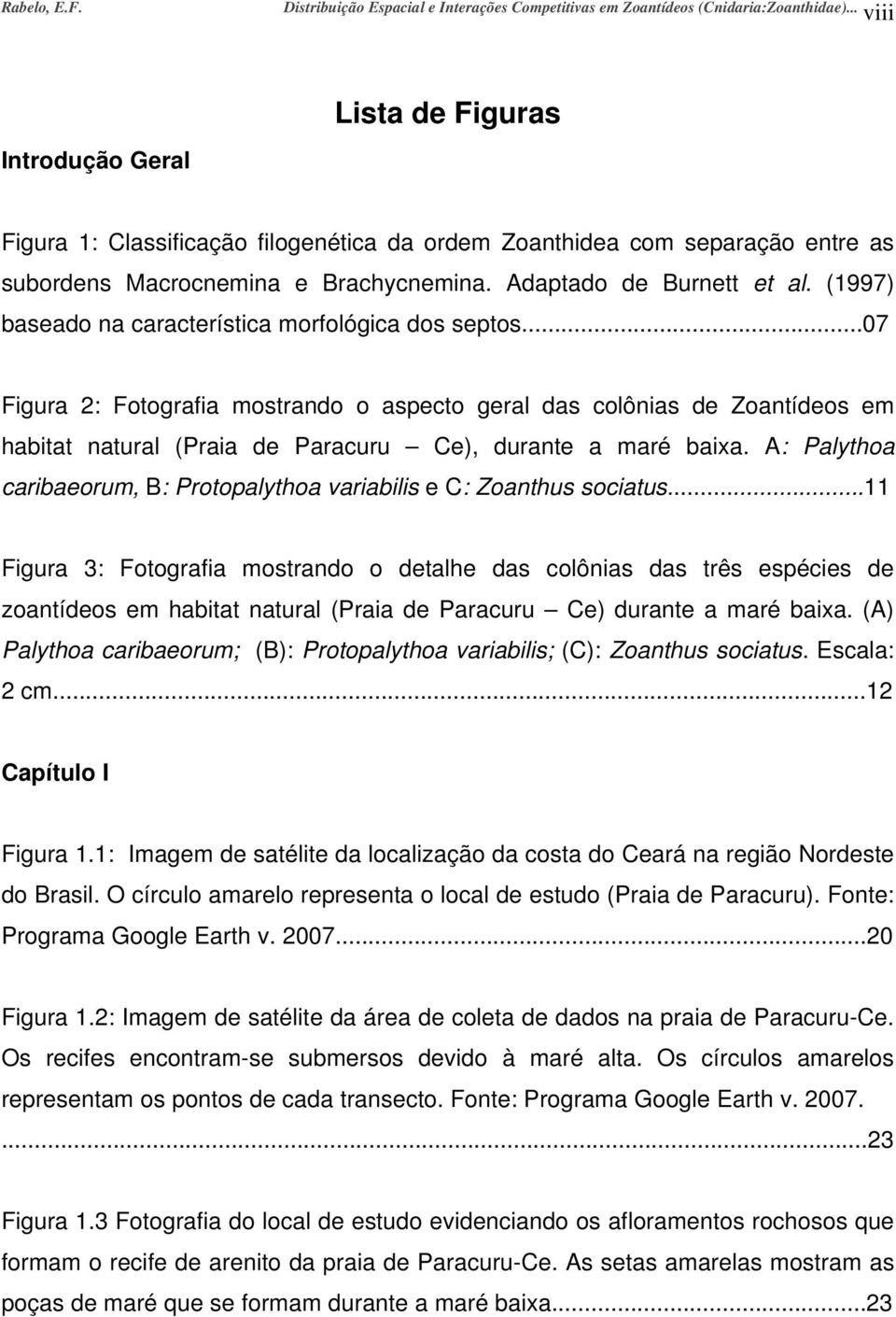 (1997) baseado na característica morfológica dos septos...07 Figura 2: Fotografia mostrando o aspecto geral das colônias de Zoantídeos em habitat natural (Praia de Paracuru Ce), durante a maré baixa.