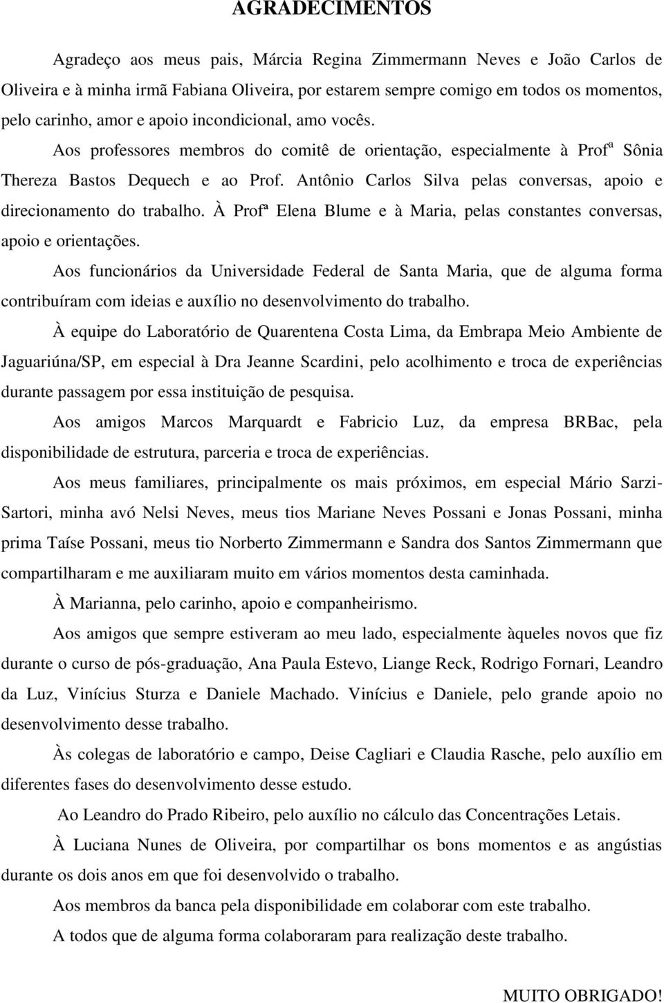 Antônio Carlos Silva pelas conversas, apoio e direcionamento do trabalho. À Profª Elena Blume e à Maria, pelas constantes conversas, apoio e orientações.