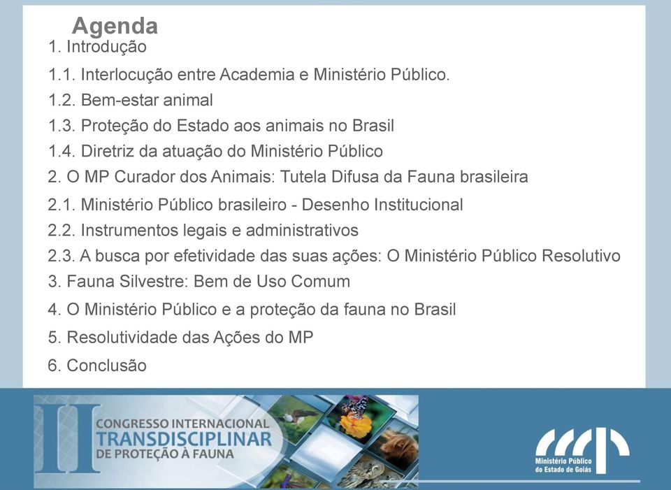 O MP Curador dos Animais: Tutela Difusa da Fauna brasileira 2.1. Ministério Público brasileiro - Desenho Institucional 2.2. Instrumentos legais e administrativos 2.
