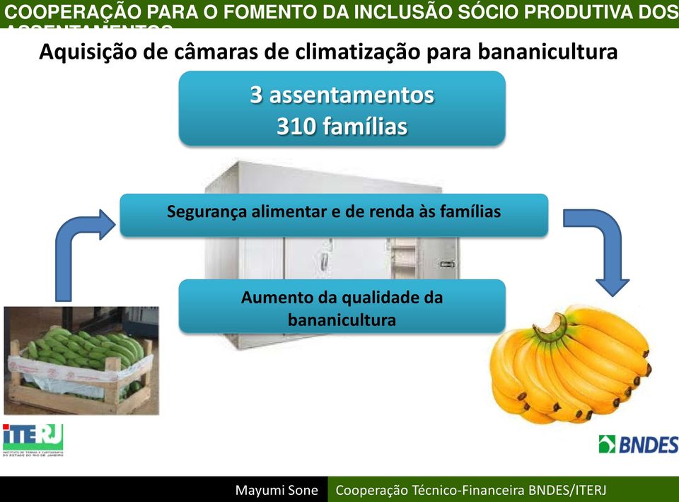 bananicultura 3 assentamentos 310 famílias Segurança