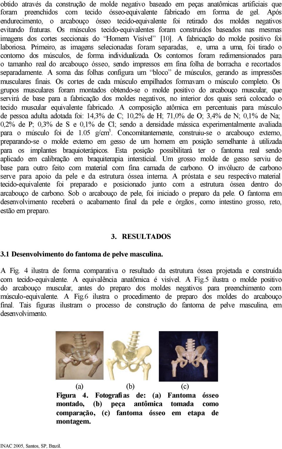 Os músculos tecido-equivalentes foram construídos baseados nas mesmas imagens dos cortes seccionais do Homem Visível [10]. A fabricação do molde positivo foi laboriosa.