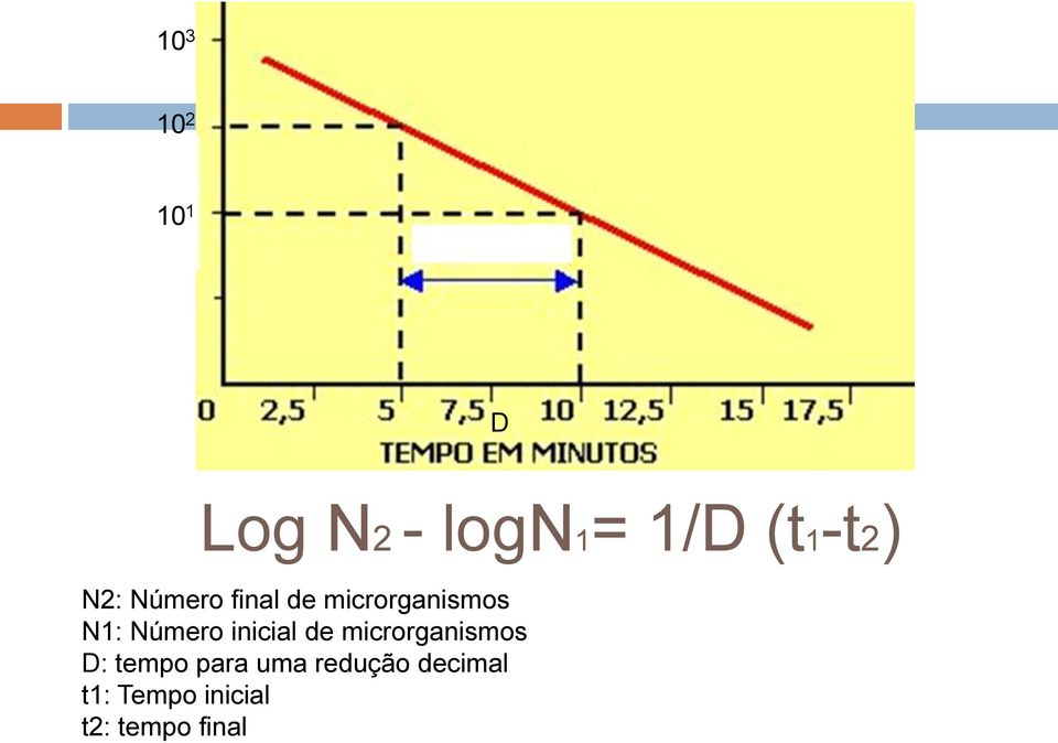 inicial de microrganismos D: tempo para uma