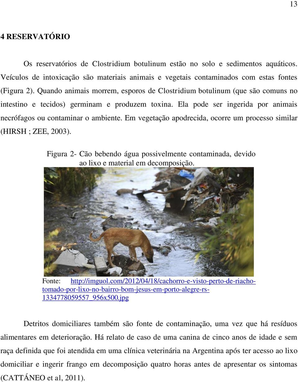 Em vegetação apodrecida, ocorre um processo similar (HIRSH ; ZEE, 2003). Figura 2- Cão bebendo água possivelmente contaminada, devido ao lixo e material em decomposição. Fonte: http://imguol.