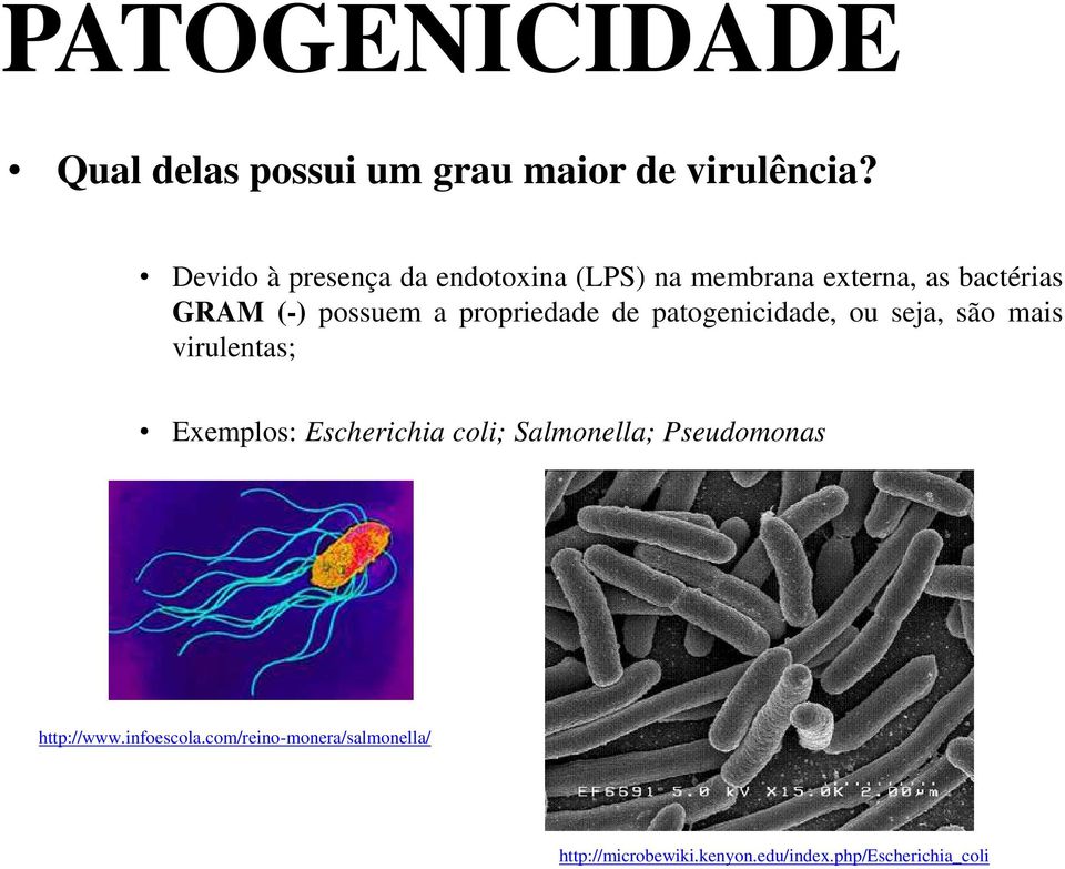 propriedade de patogenicidade, ou seja, são mais virulentas; Exemplos: Escherichia coli;