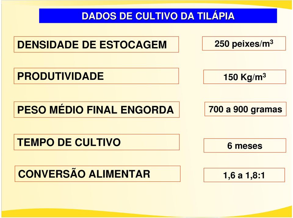 3 PESO MÉDIO FINAL ENGORDA 700 a 900 gramas