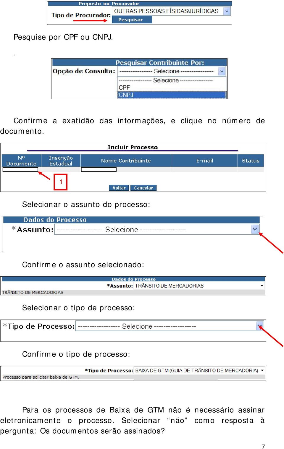 processo: Confirme o tipo de processo: Para os processos de Baixa de GTM não é necessário