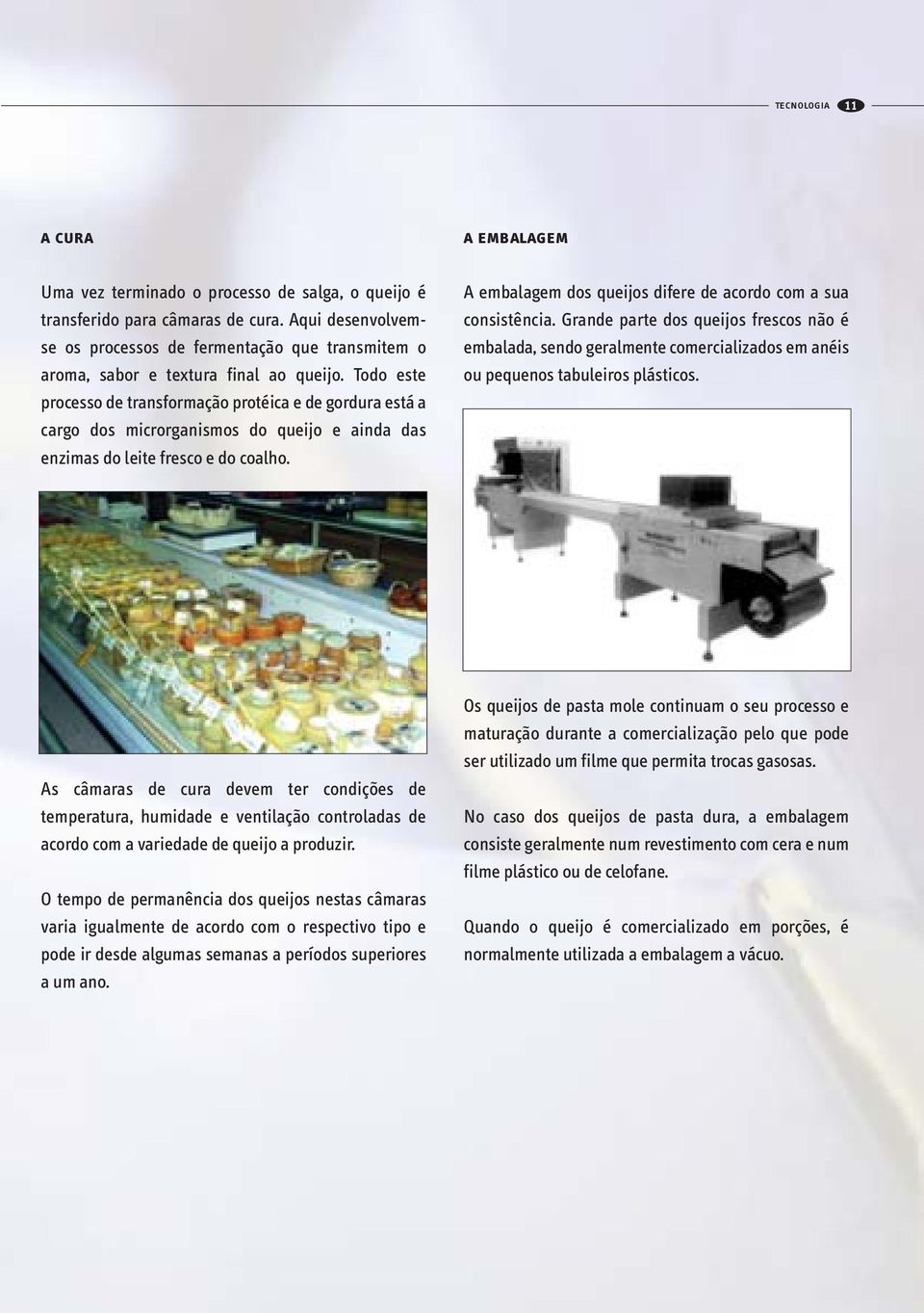 Todo este processo de transformação protéica e de gordura está a cargo dos microrganismos do queijo e ainda das enzimas do leite fresco e do coalho.