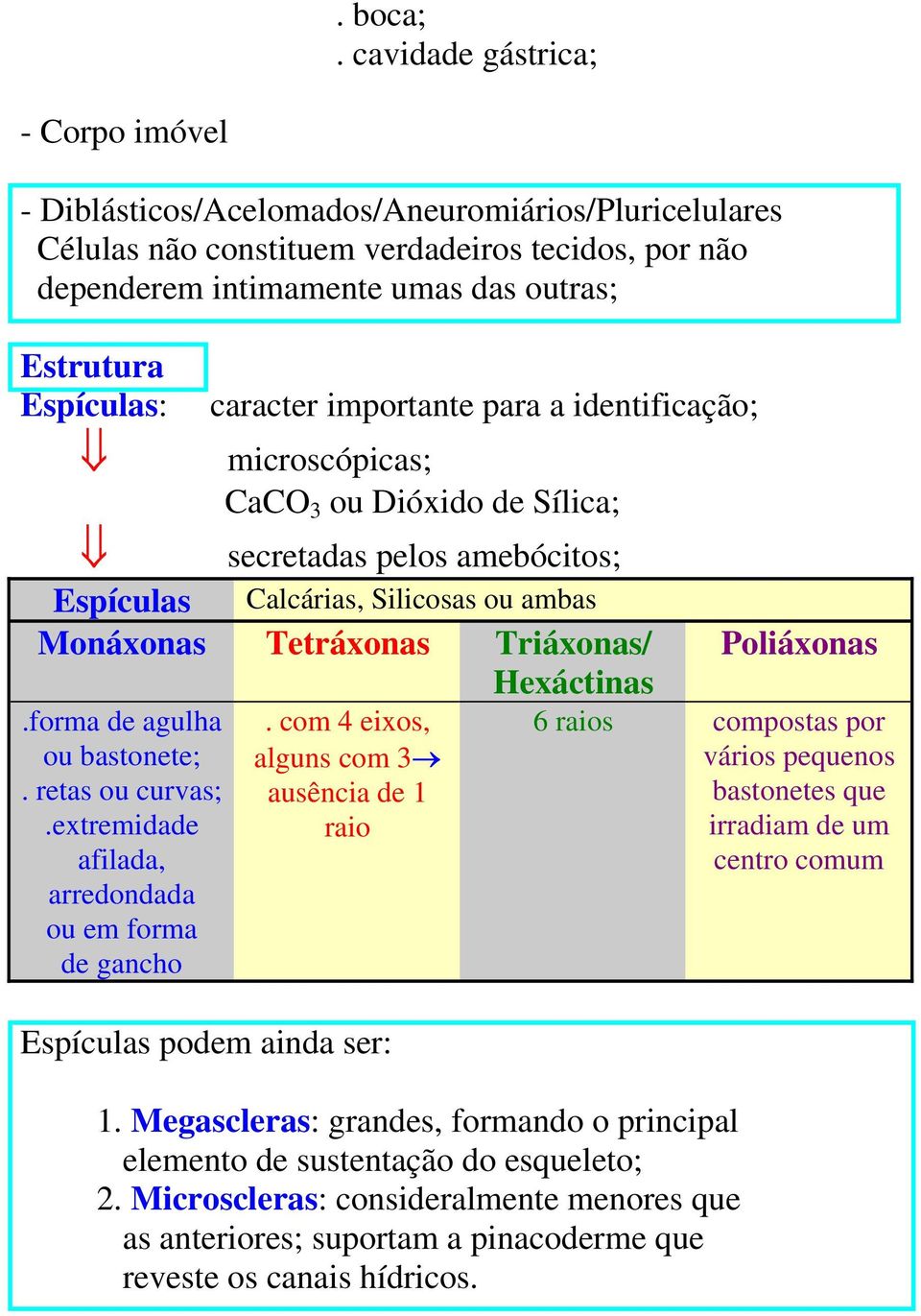 Espículas: caracter importante para a identificação; microscópicas; CaCO 3 ou Dióxido de Sílica; secretadas pelos amebócitos; Espículas Calcárias, Silicosas ou ambas Monáxonas Tetráxonas Triáxonas/