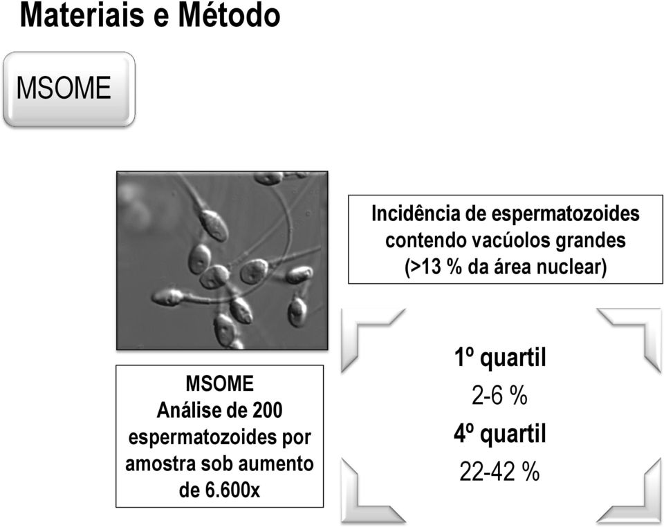 área nuclear) MSOME Análise de 200 espermatozoides