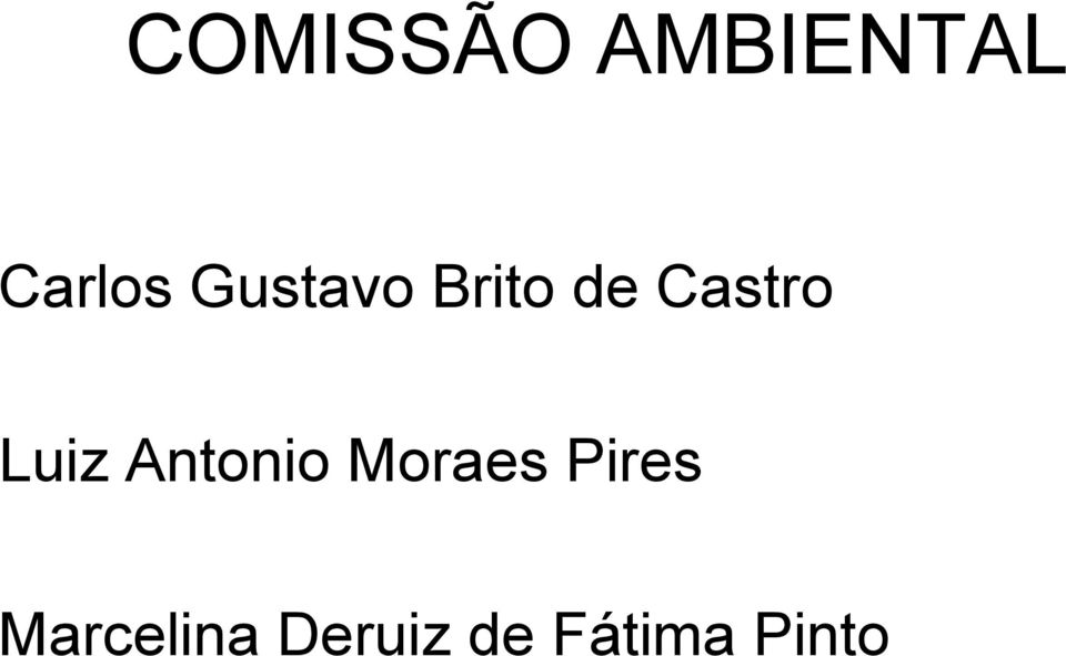 Luiz Antonio Moraes Pires