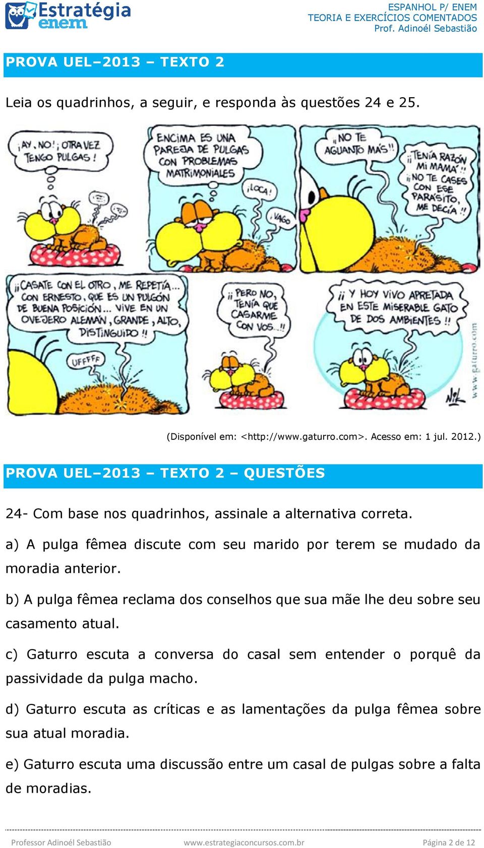 b) A pulga fêmea reclama dos conselhos que sua mãe lhe deu sobre seu casamento atual. c) Gaturro escuta a conversa do casal sem entender o porquê da passividade da pulga macho.