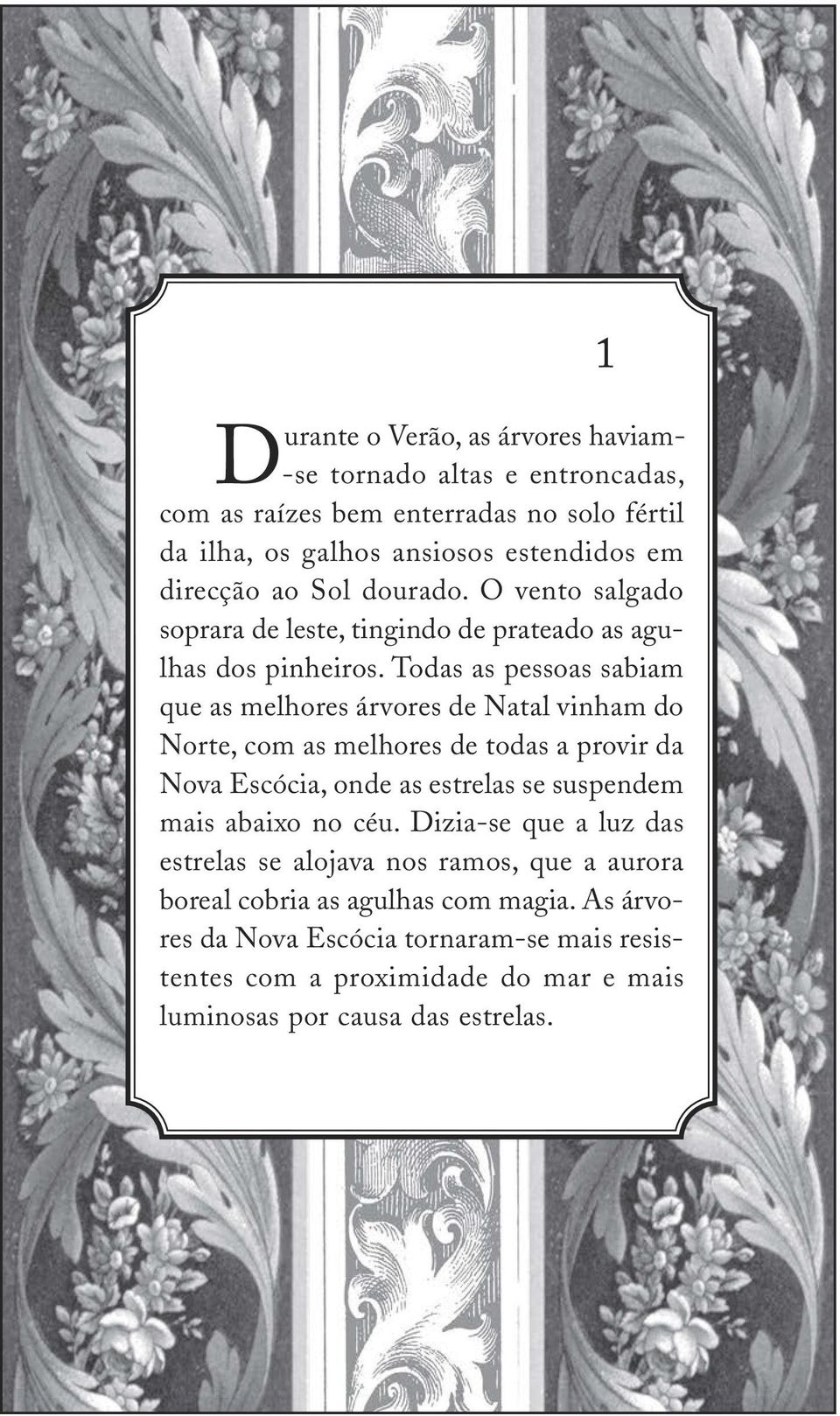 Todas as pessoas sabiam que as melhores árvores de Natal vinham do Norte, com as melhores de todas a provir da Nova Escócia, onde as estrelas se suspendem mais