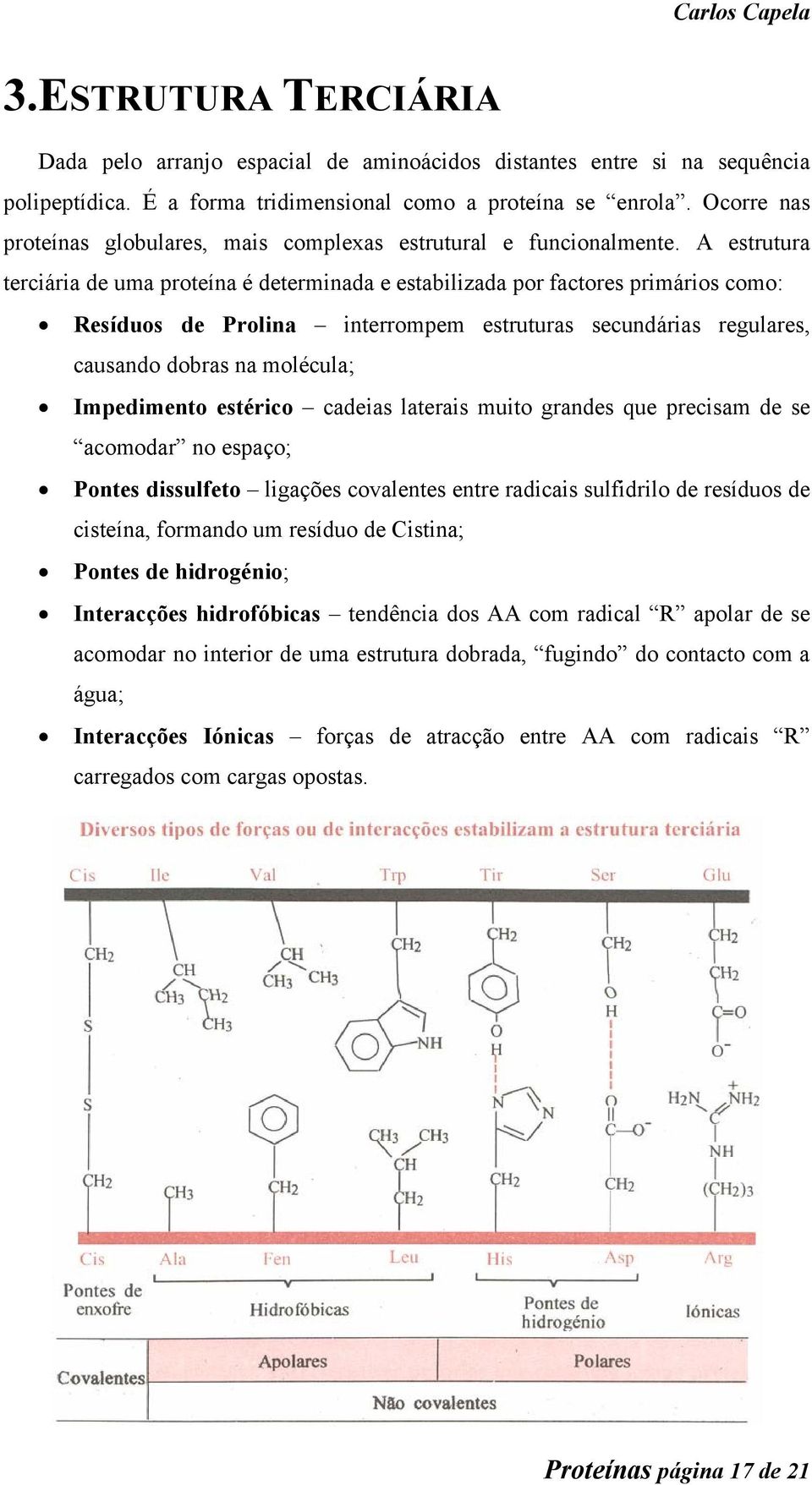 A estrutura terciária de uma proteína é determinada e estabilizada por factores primários como: Resíduos de Prolina interrompem estruturas secundárias regulares, causando dobras na molécula;