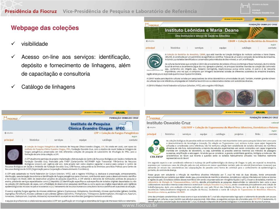 depósito e fornecimento de linhagens, além