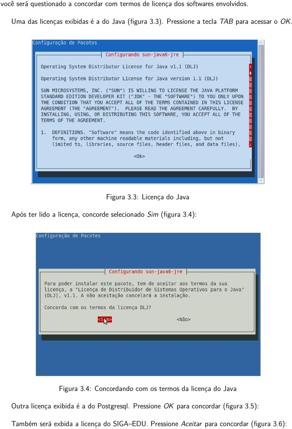 3: Licença do Java Após ter lido a licença, concorde selecionado Sim (figura 3.4): Figura 3.