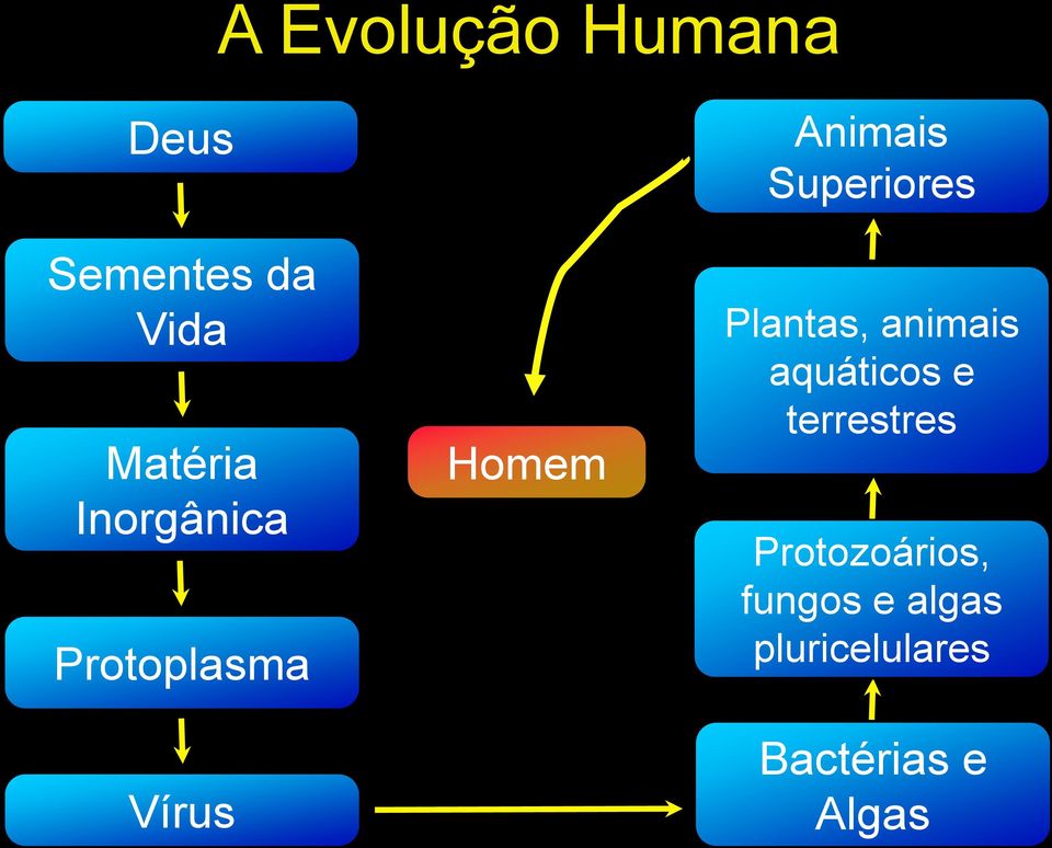 Superiores Plantas, animais aquáticos e terrestres