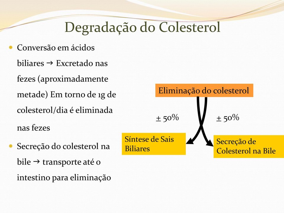 Secreção do colesterol na bile transporte até o intestino para eliminação