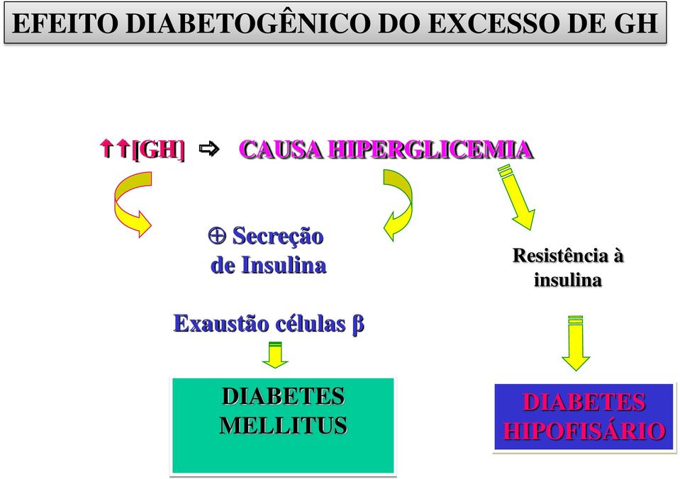 Insulina Resistência à insulina Exaustão