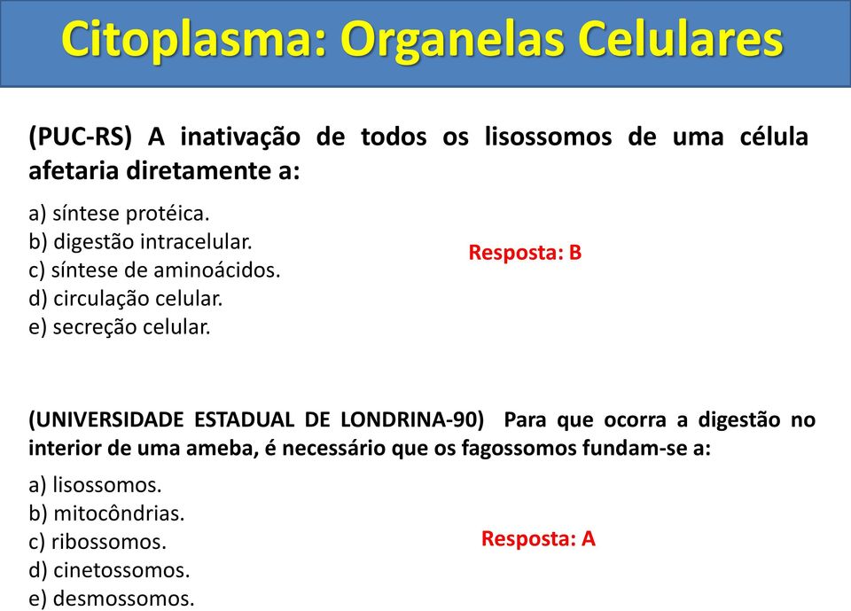 Resposta: B (UNIVERSIDADE ESTADUAL DE LONDRINA-90) Para que ocorra a digestão no interior de uma ameba, é