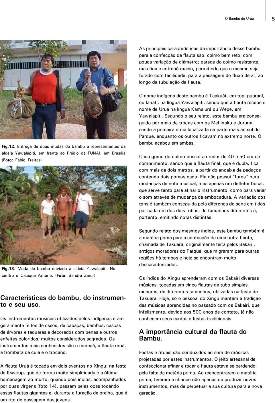 Entrega de duas mudas do bambu a representantes da aldeia Yawalapiti, em frente ao Prédio da FUNAI, em Brasília.