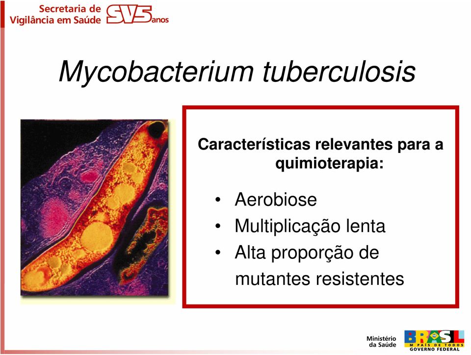 quimioterapia: Aerobiose