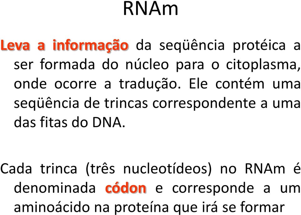 Ele contém uma seqüência de trincas correspondente a uma das fitas do DNA.