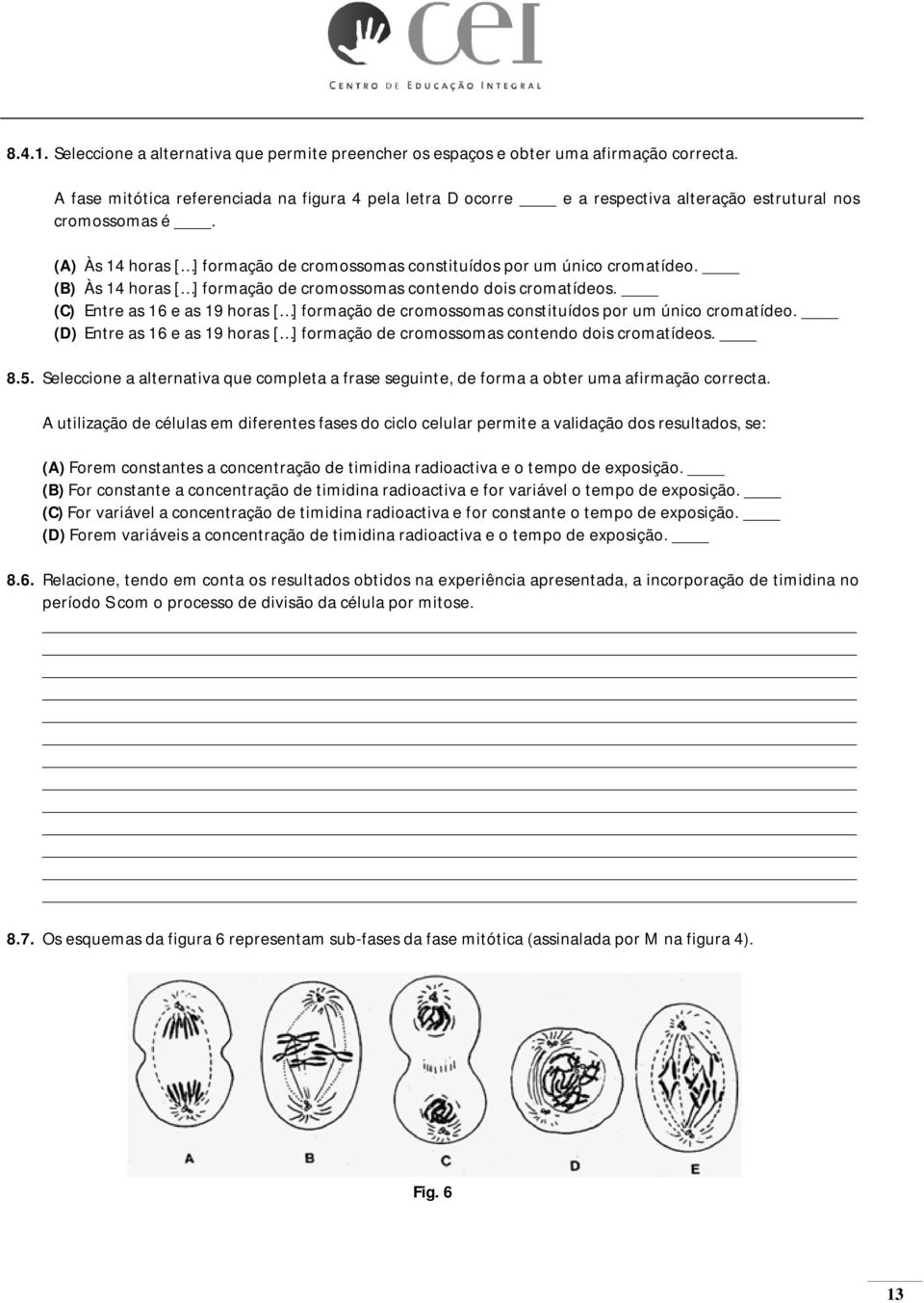 (B) Às 14 horas [ ] formação de cromossomas contendo dois cromatídeos. (C) Entre as 16 e as 19 horas [ ] formação de cromossomas constituídos por um único cromatídeo.