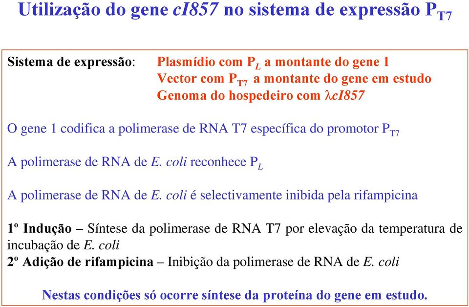 coli reconhece P L A polimerase de RNA de E.