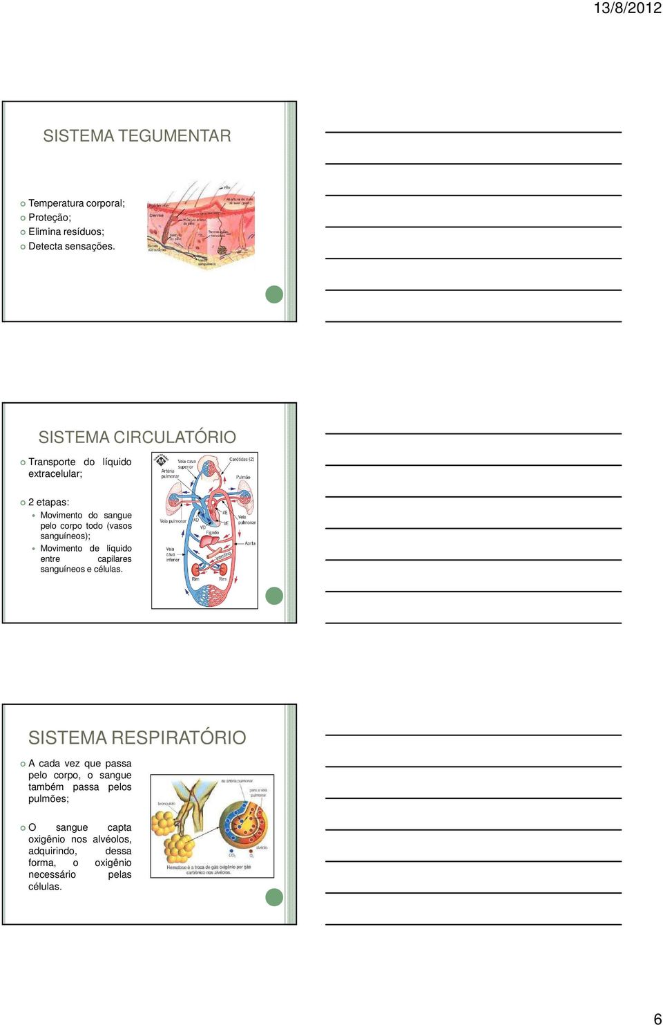 sanguíneos); Movimento de líquido entre capilares sanguíneos e células.