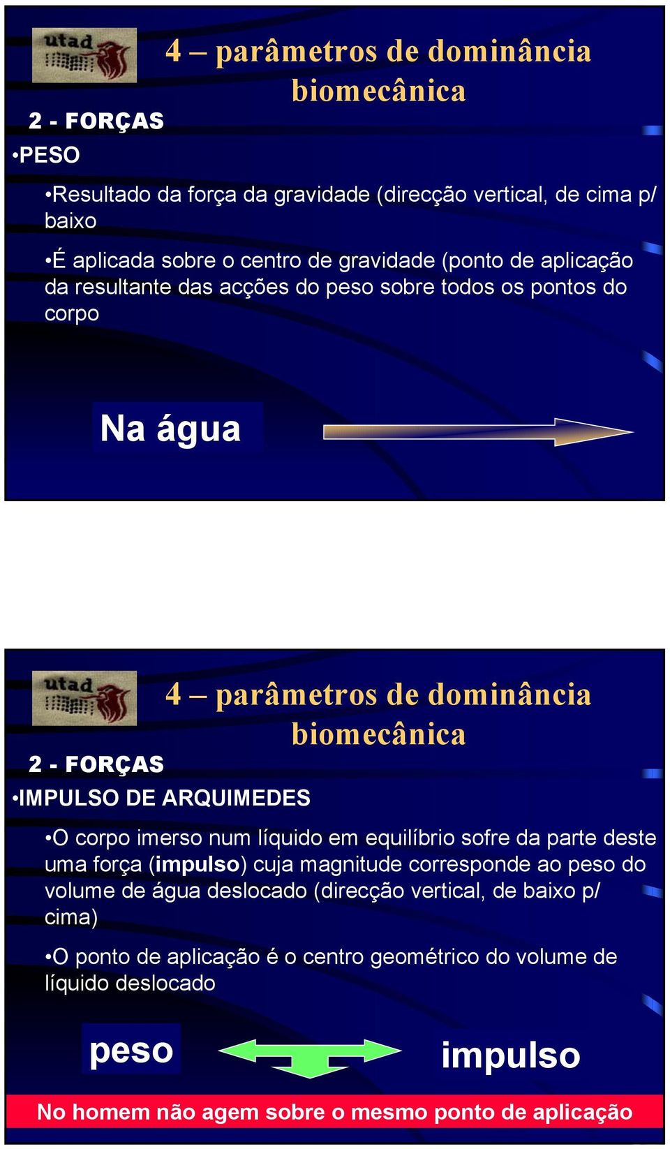 corpo imerso num líquido em equilíbrio sofre da parte deste uma força (impulso) cuja magnitude corresponde ao peso do volume de água deslocado (direcção