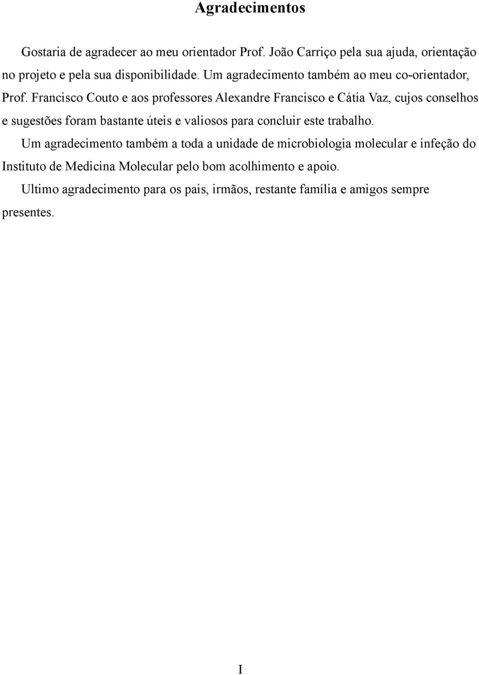 Francisco Couto e aos professores Alexandre Francisco e Cátia Vaz, cujos conselhos e sugestões foram bastante úteis e valiosos para concluir