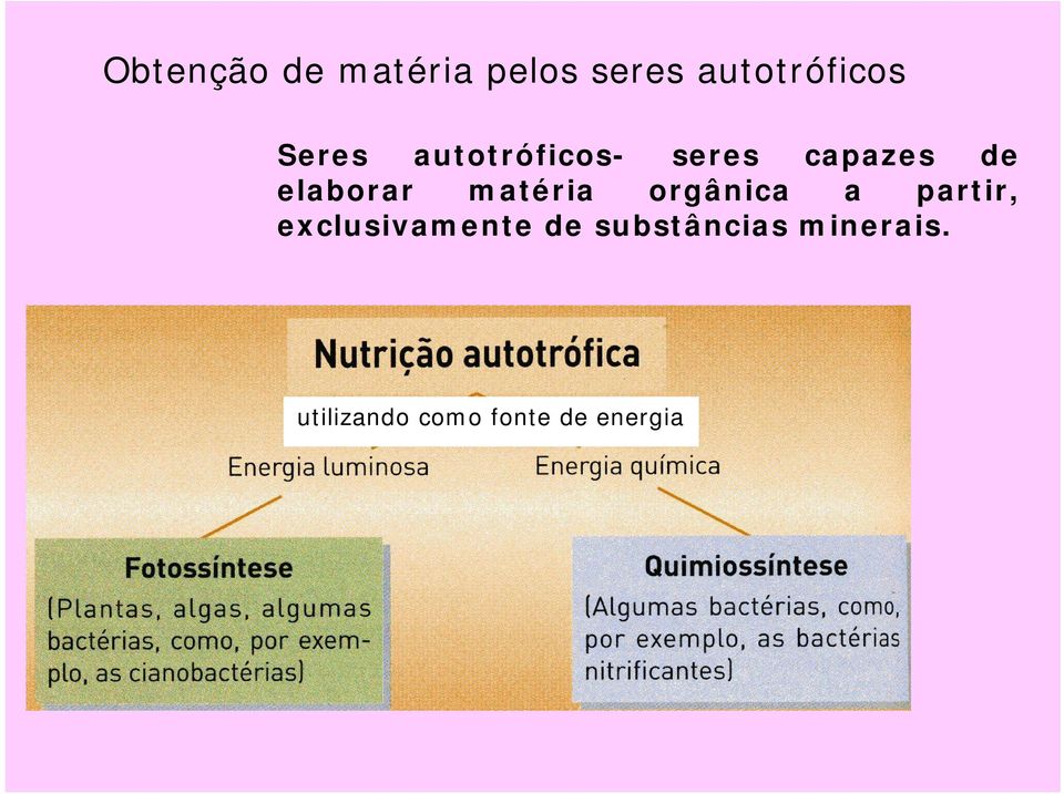 matéria orgânica a partir, exclusivamente de