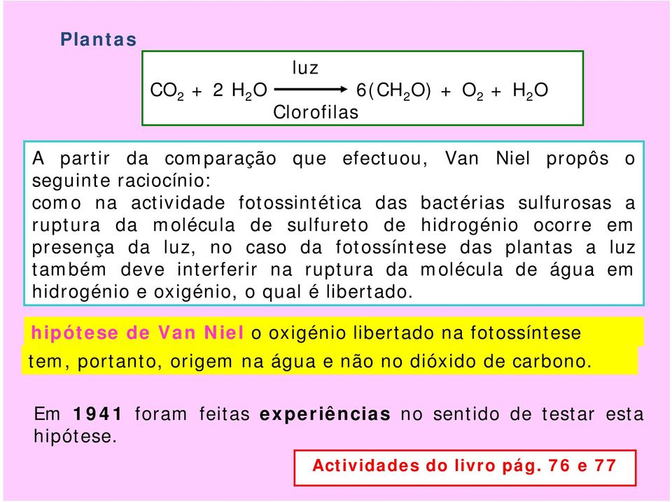 também deve interferir na ruptura da molécula de água em hidrogénio e oxigénio, o qual é libertado.