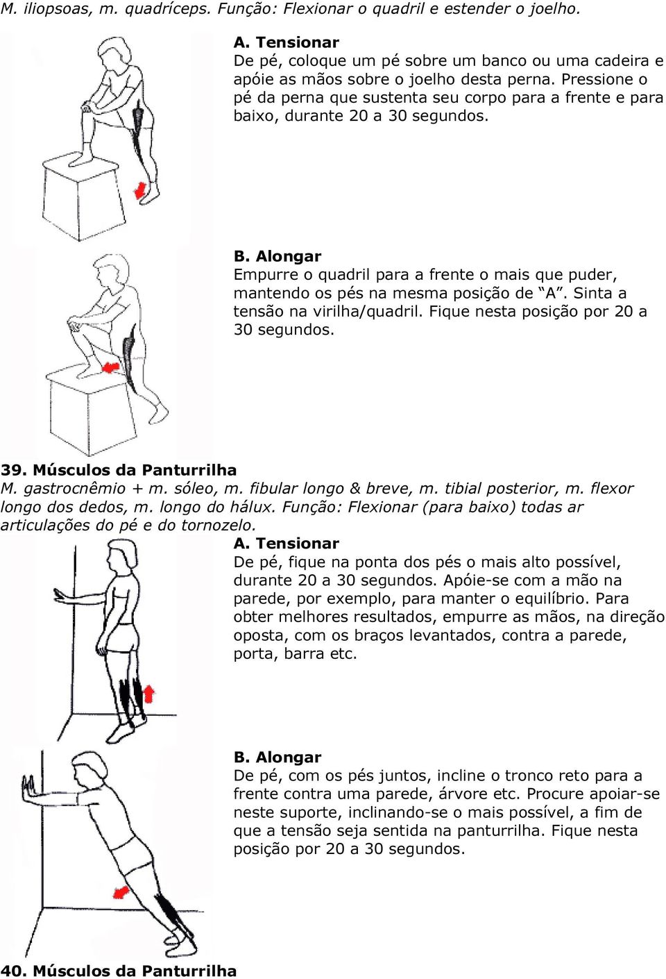 Sinta a tensão na virilha/quadril. Fique nesta posição por 20 a 30 segundos. 39. Músculos da Panturrilha M. gastrocnêmio + m. sóleo, m. fibular longo & breve, m. tibial posterior, m.