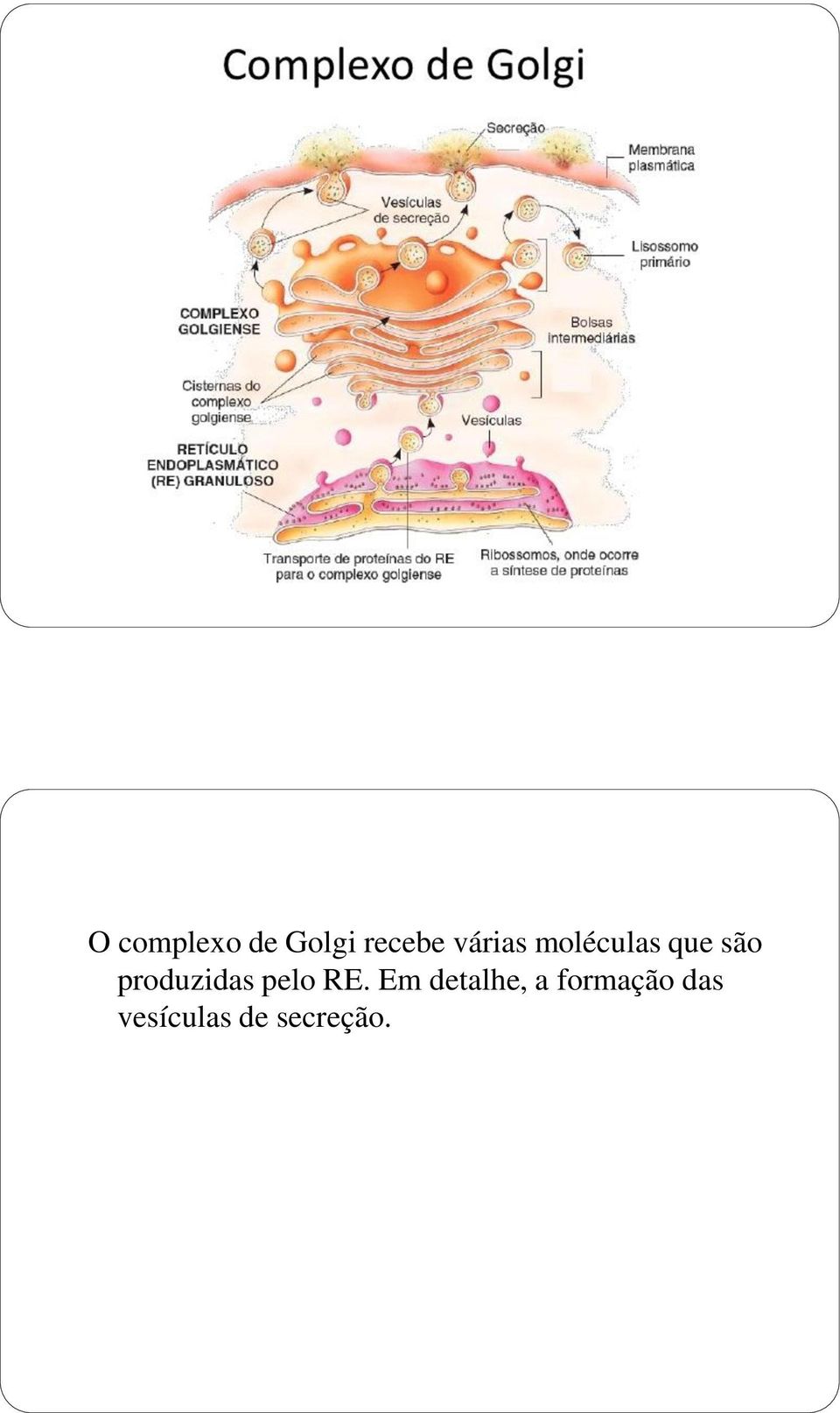 produzidas pelo RE.